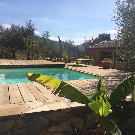 Le Balcon Du Caroux - Acces Jardin Piscine Partage Vakantiehuis *