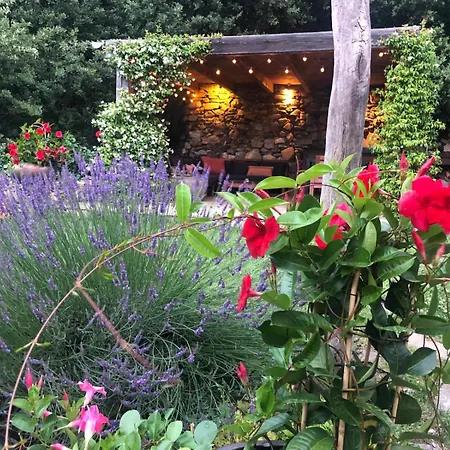 Le Balcon Du Caroux - Acces Jardin Piscine Partage