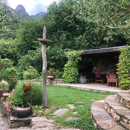 Vakantiehuis Le Balcon Du Caroux - Acces Jardin Piscine Partage